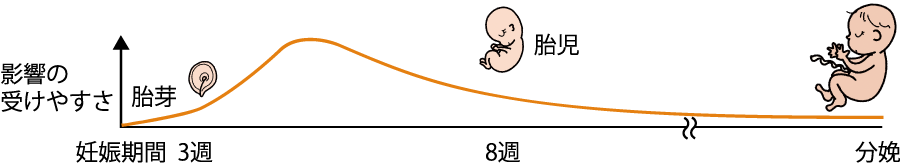 胎芽・胎児に薬が影響を与えるリスクイメージ